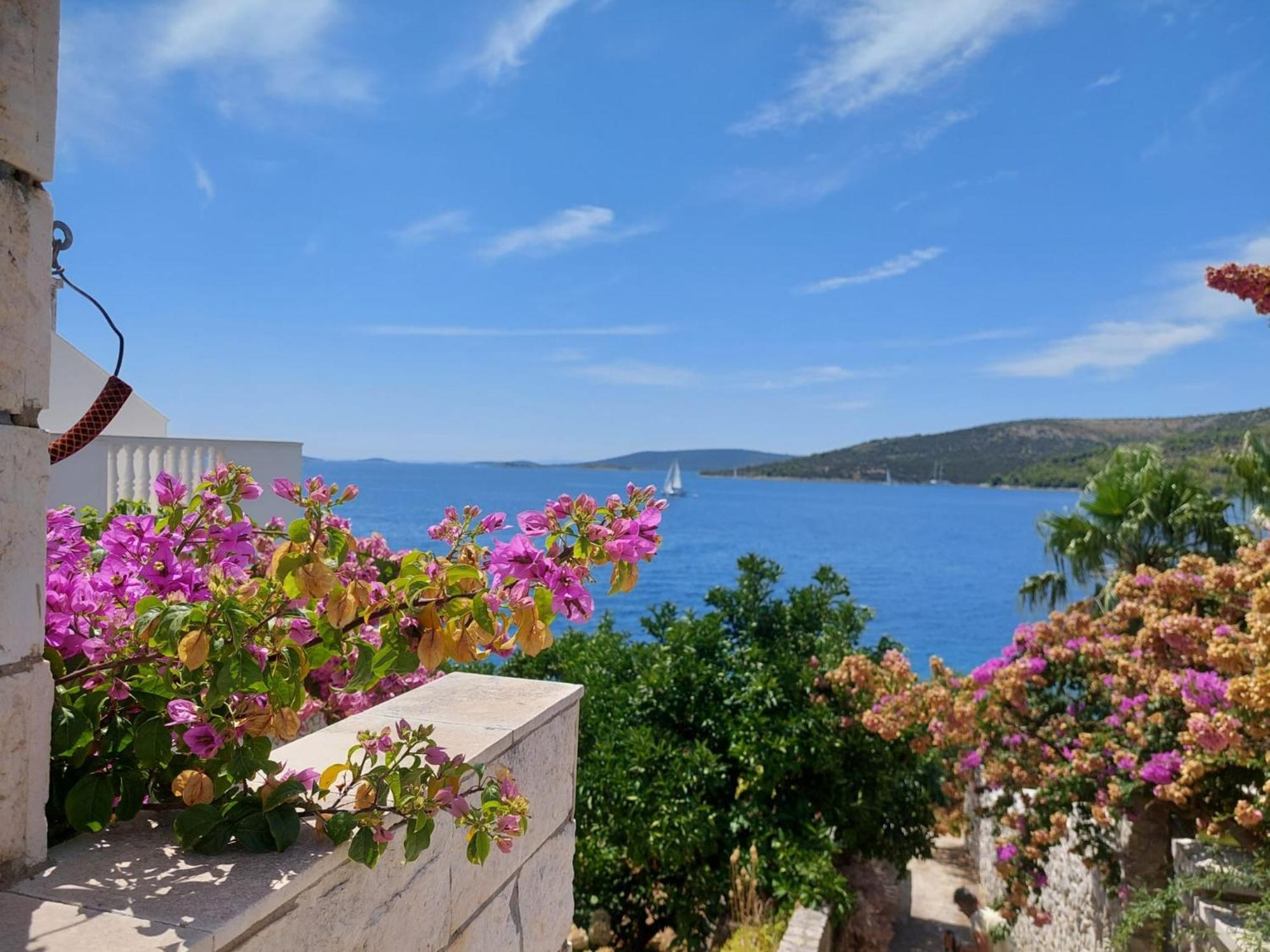Villa Apartments Oliva Seget Vranjica Dış mekan fotoğraf