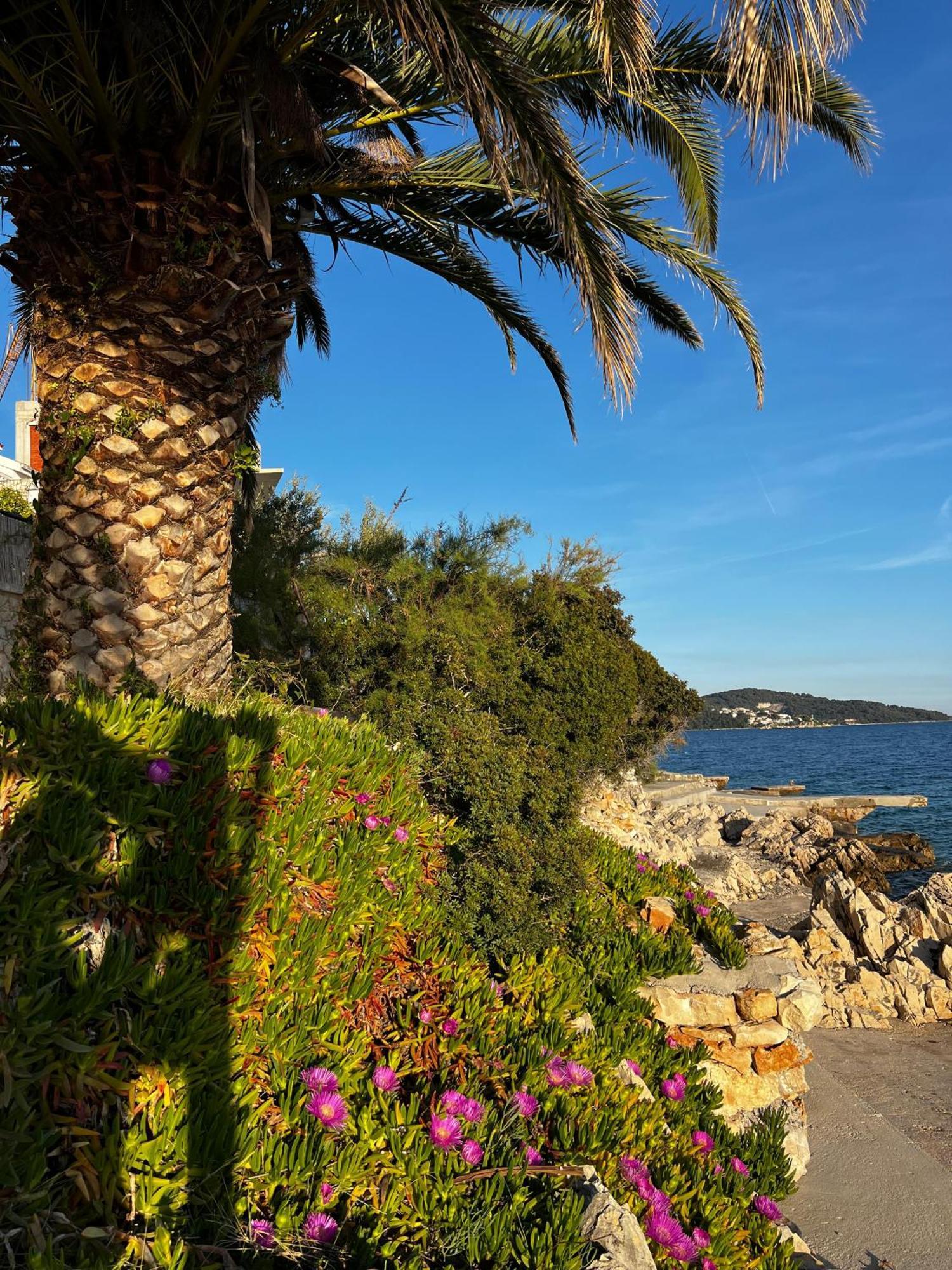Villa Apartments Oliva Seget Vranjica Dış mekan fotoğraf