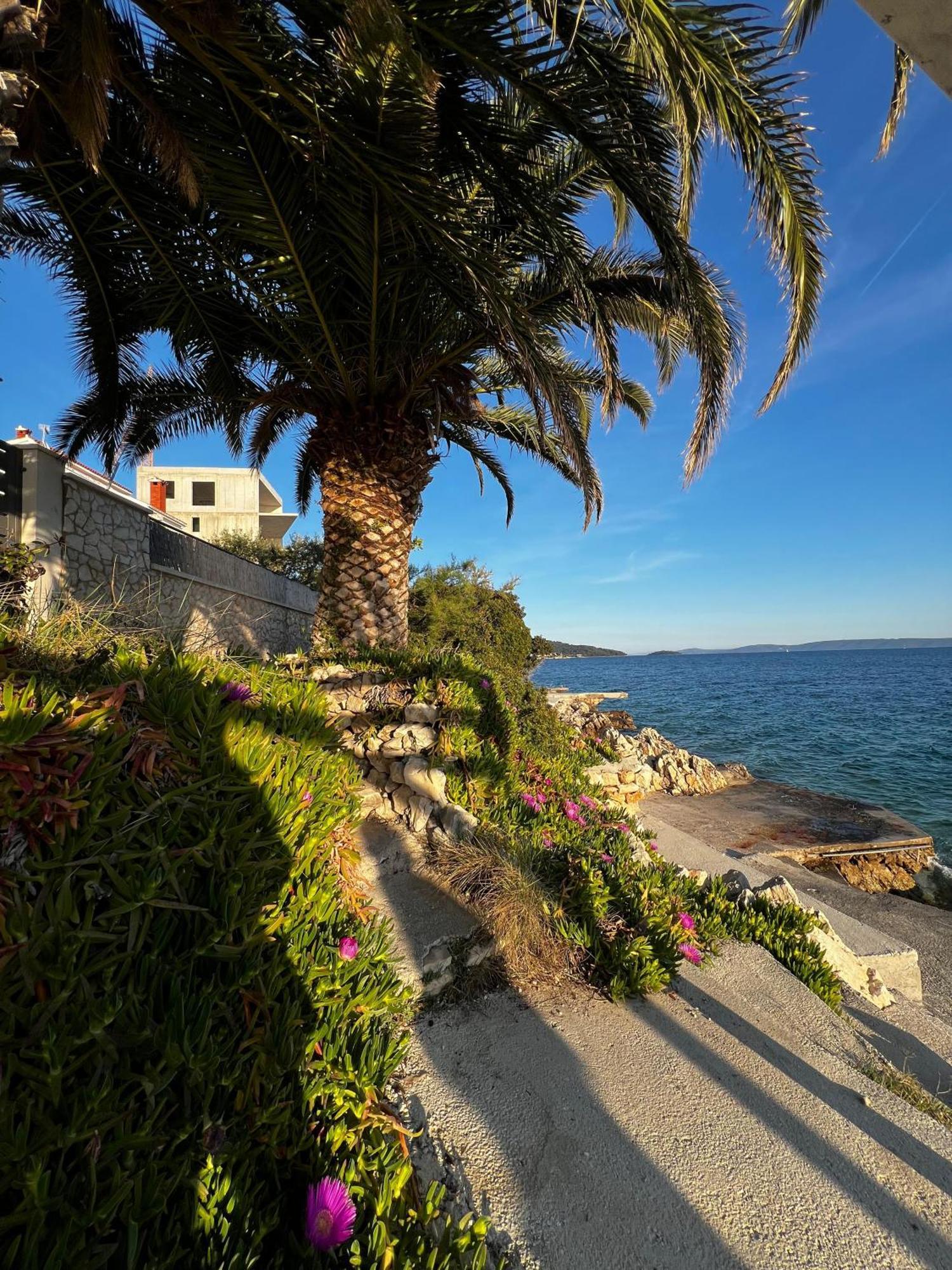 Villa Apartments Oliva Seget Vranjica Dış mekan fotoğraf
